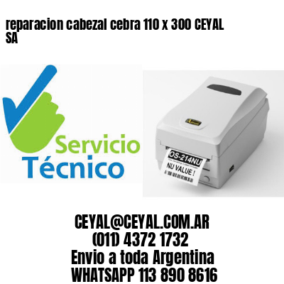 reparacion cabezal cebra 110 x 300 CEYAL SA