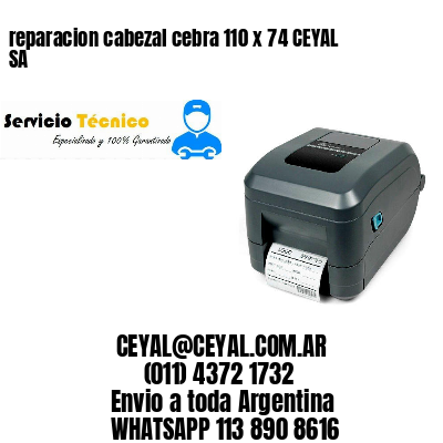 reparacion cabezal cebra 110 x 74 CEYAL SA