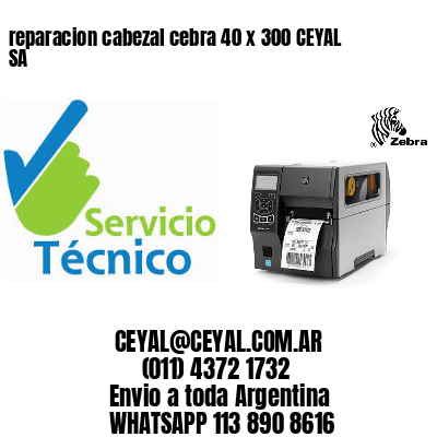 reparacion cabezal cebra 40 x 300 CEYAL SA