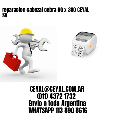 reparacion cabezal cebra 60 x 300 CEYAL SA