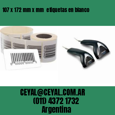 107 x 172 mm x mm  etiquetas en blanco
