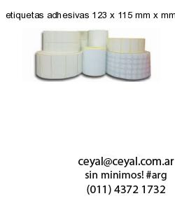 etiquetas adhesivas 123 x 115 mm x mm