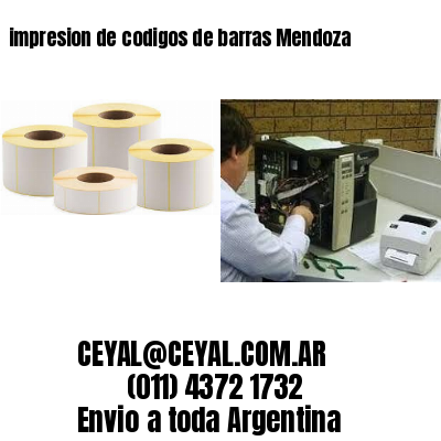 impresion de codigos de barras Mendoza