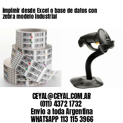 impimir desde Excel o base de datos con zebra modelo industrial