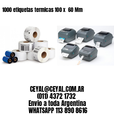 1000 etiquetas termicas 100 x  60 Mm