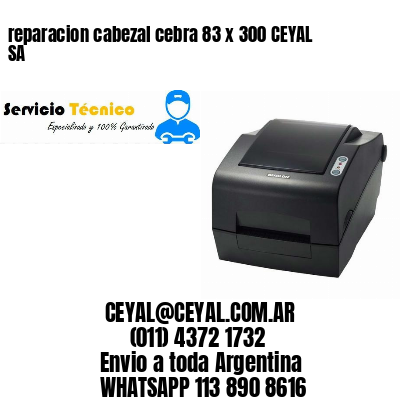 reparacion cabezal cebra 83 x 300 CEYAL SA