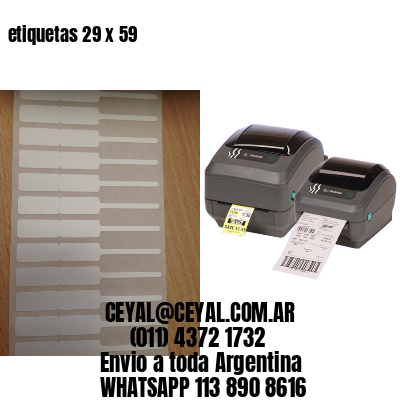 etiquetas 29 x 59