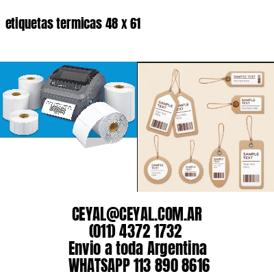 etiquetas termicas 48 x 61