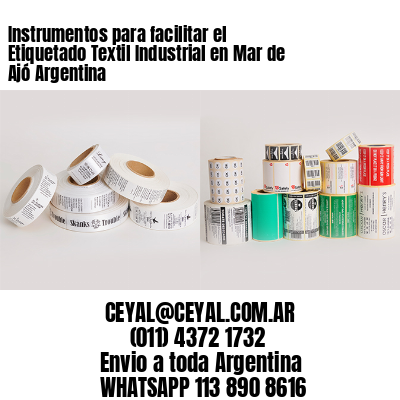 Instrumentos para facilitar el Etiquetado Textil Industrial en Mar de Ajó Argentina