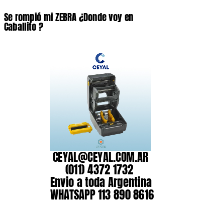 Se rompió mi ZEBRA ¿Donde voy en Caballito ?