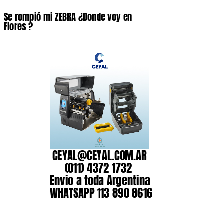 Se rompió mi ZEBRA ¿Donde voy en Flores ?