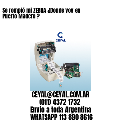 Se rompió mi ZEBRA ¿Donde voy en Puerto Madero ?