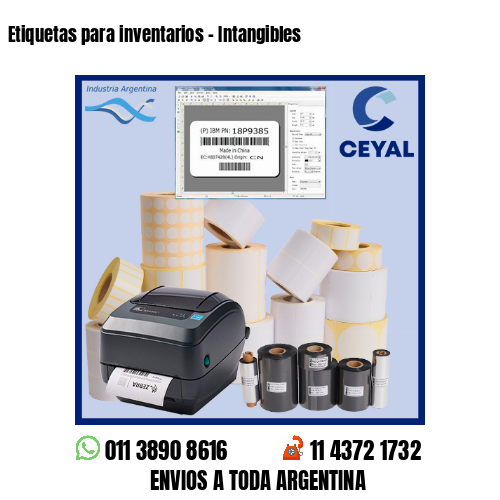 Etiquetas para inventarios – Intangibles