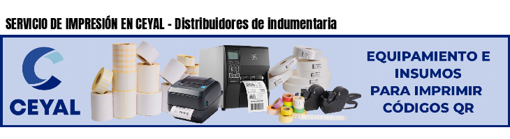 SERVICIO DE IMPRESIÓN EN CEYAL - Distribuidores de indumentaria