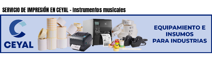 SERVICIO DE IMPRESIÓN EN CEYAL - Instrumentos musicales