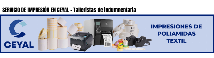 SERVICIO DE IMPRESIÓN EN CEYAL - Talleristas de indumnentaria