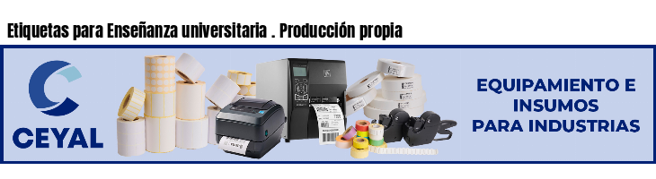 Etiquetas para Enseñanza universitaria . Producción propia