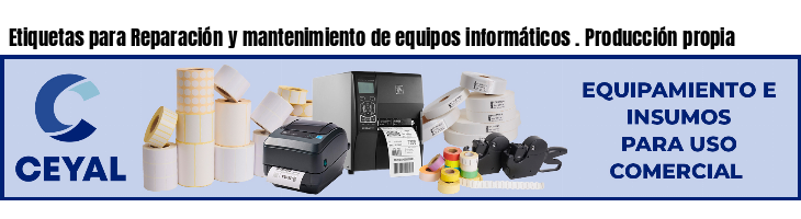 Etiquetas para Reparación y mantenimiento de equipos informáticos . Producción propia
