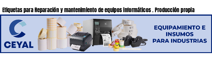 Etiquetas para Reparación y mantenimiento de equipos informáticos . Producción propia