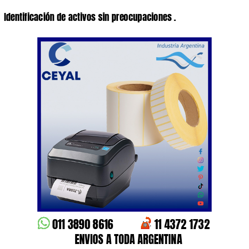 Identificación de activos sin preocupaciones .