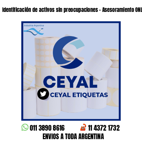 Identificación de activos sin preocupaciones - Asesoramiento ONLINE