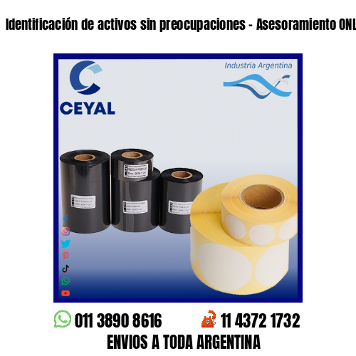 Identificación de activos sin preocupaciones – Asesoramiento ONLINE