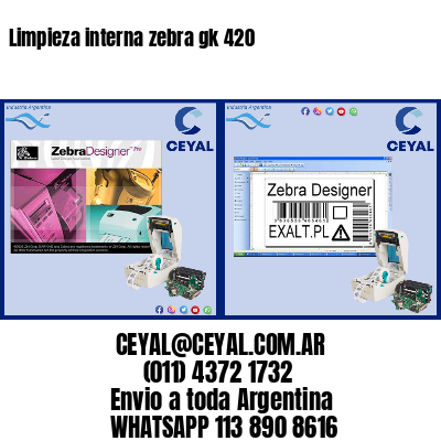 Limpieza interna zebra gk 420