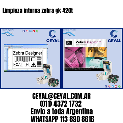 Limpieza interna zebra gk 420t