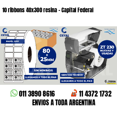 10 ribbons 40x300 resina - Capital Federal