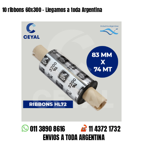 10 ribbons 60×300 – Llegamos a toda Argentina