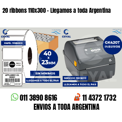 20 ribbons 110x300 - Llegamos a toda Argentina