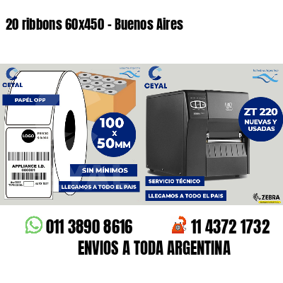 20 ribbons 60x450 - Buenos Aires