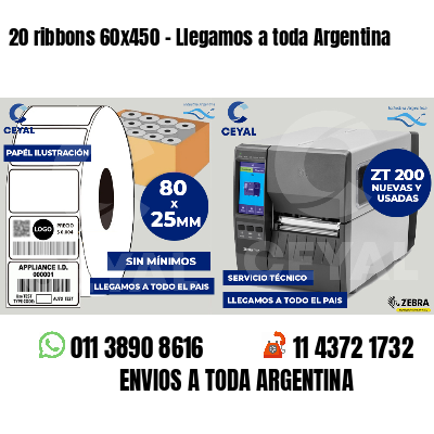 20 ribbons 60x450 - Llegamos a toda Argentina