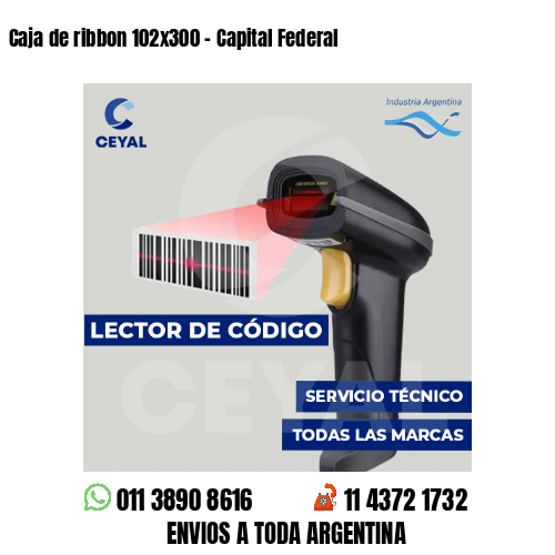 Caja de ribbon 102x300 - Capital Federal