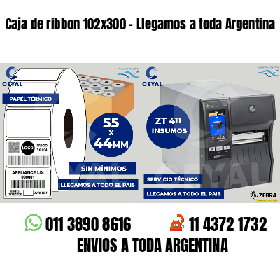 Caja de ribbon 102x300 - Llegamos a toda Argentina