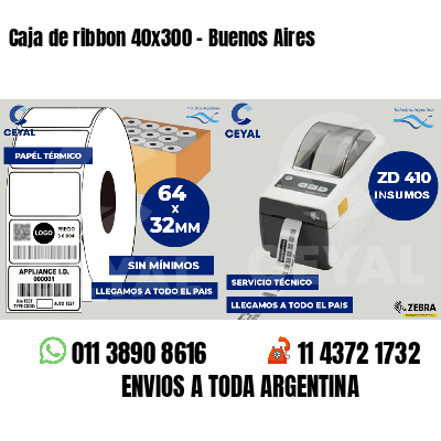 Caja de ribbon 40x300 - Buenos Aires