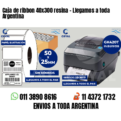 Caja de ribbon 40x300 resina - Llegamos a toda Argentina