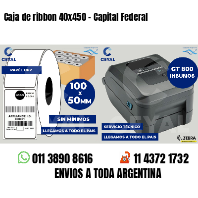 Caja de ribbon 40x450 - Capital Federal