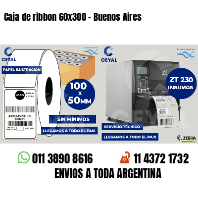 Caja de ribbon 60x300 - Buenos Aires
