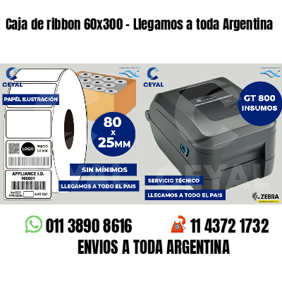 Caja de ribbon 60x300 - Llegamos a toda Argentina