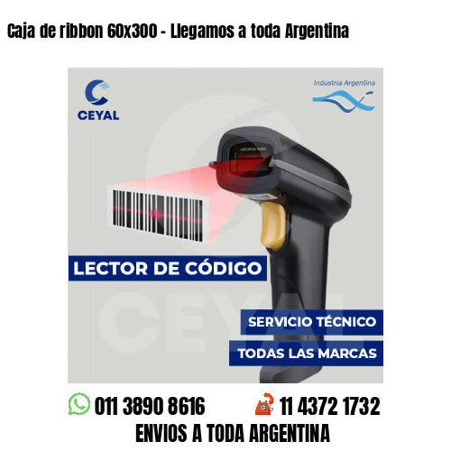 Caja de ribbon 60x300 - Llegamos a toda Argentina