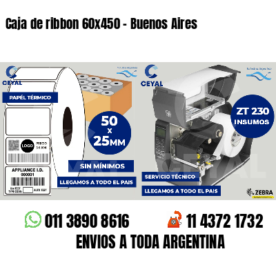 Caja de ribbon 60x450 - Buenos Aires
