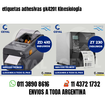 etiquetas adhesivas gk420t Kinesiología