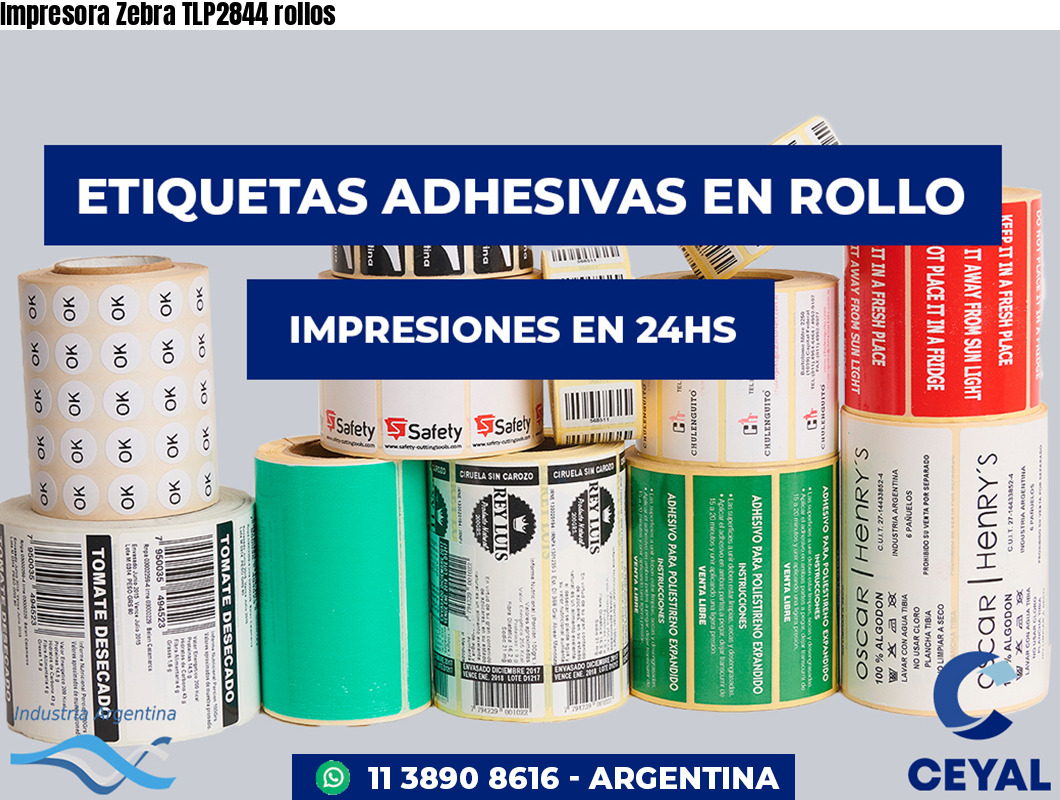 Impresora Zebra TLP2844 rollos