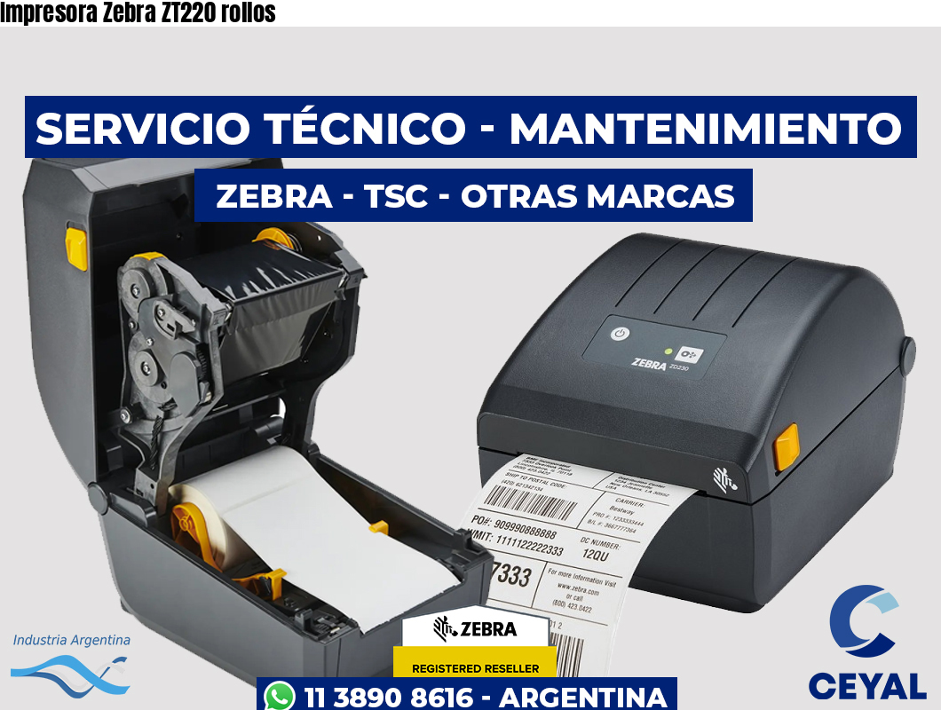 Impresora Zebra ZT220 rollos