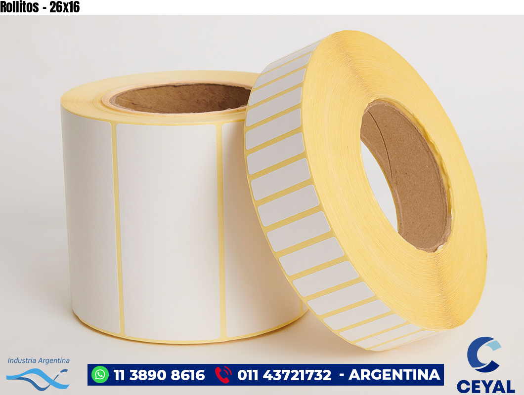 Rollitos - 26x16