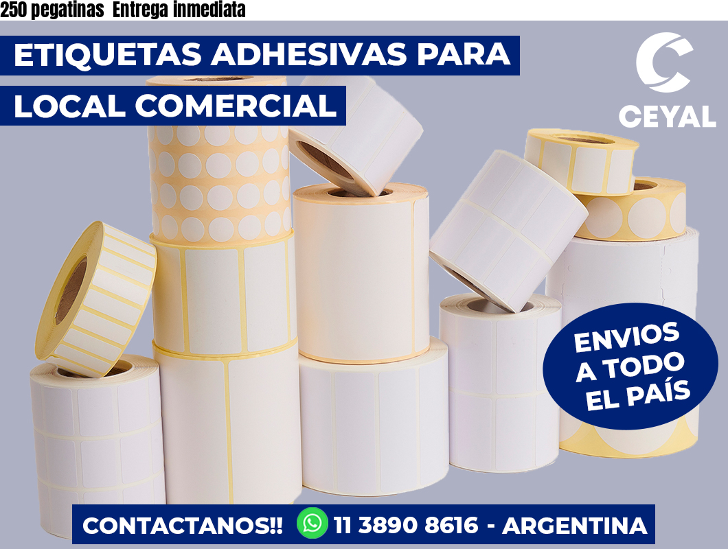 250 pegatinas  Entrega inmediata
