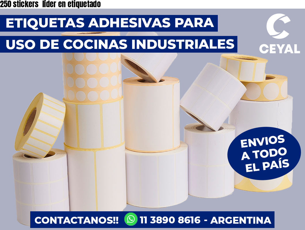 250 stickers  líder en etiquetado