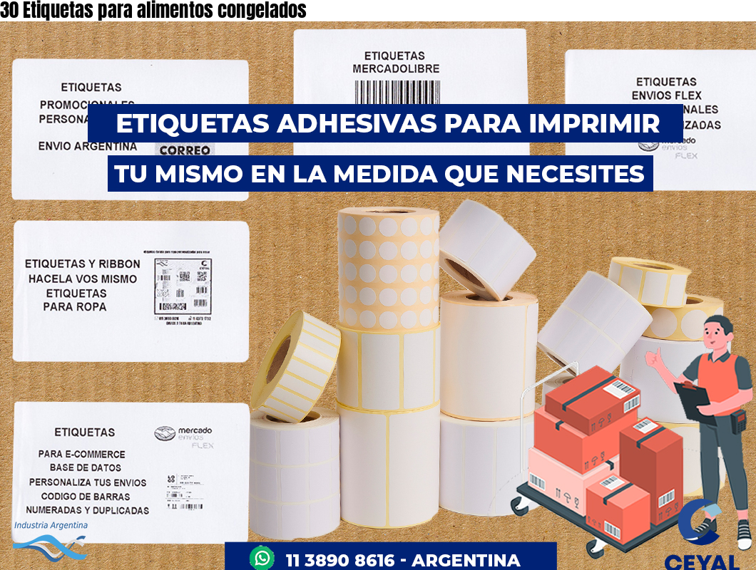 30 Etiquetas para alimentos congelados