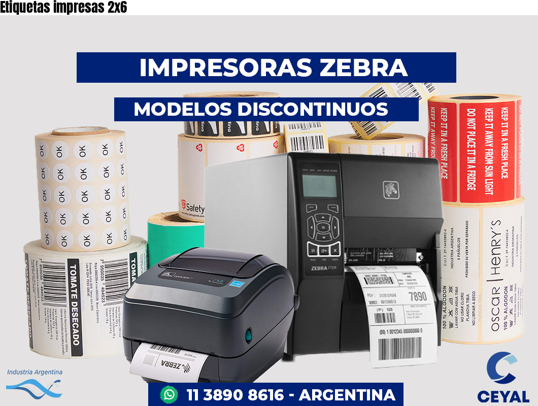 Etiquetas impresas 2x6